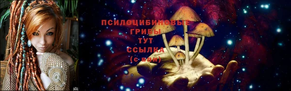 таблы Алексеевка
