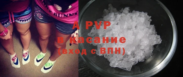 гашик Алексин
