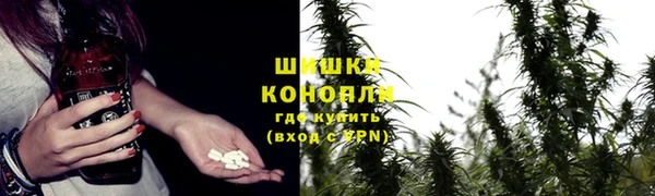 гашик Алзамай