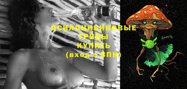 таблы Алексеевка