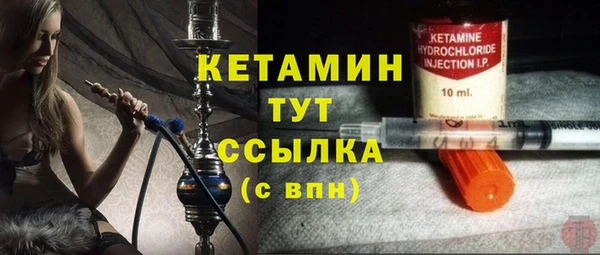 гашик Алексин